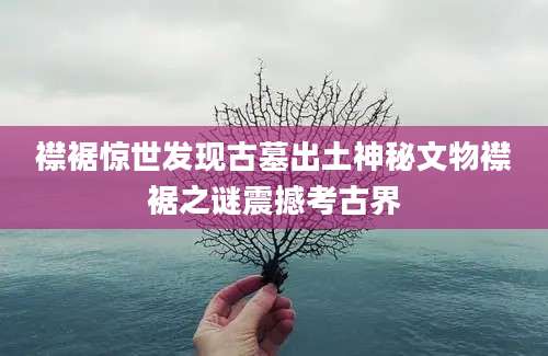 襟裾惊世发现古墓出土神秘文物襟裾之谜震撼考古界