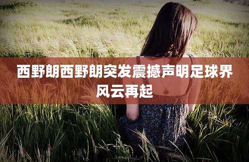 西野朗西野朗突发震撼声明足球界风云再起