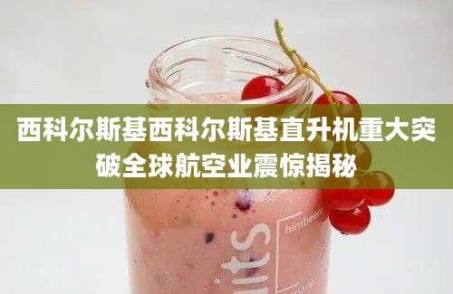 西科尔斯基西科尔斯基直升机重大突破全球航空业震惊揭秘
