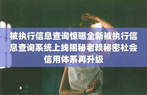 被执行信息查询惊曝全新被执行信息查询系统上线揭秘老赖秘密社会信用体系再升级