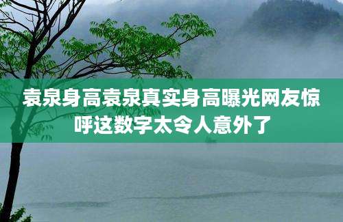 袁泉身高袁泉真实身高曝光网友惊呼这数字太令人意外了
