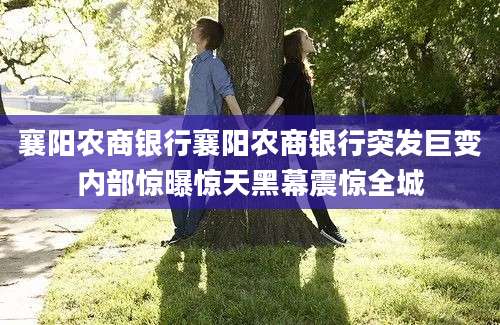 襄阳农商银行襄阳农商银行突发巨变内部惊曝惊天黑幕震惊全城