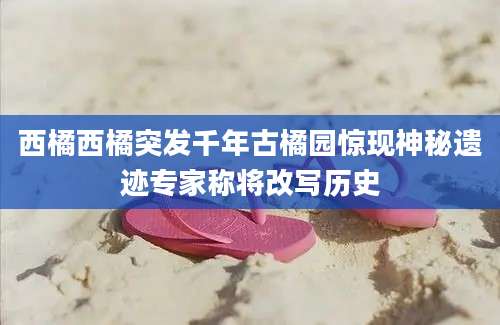 西橘西橘突发千年古橘园惊现神秘遗迹专家称将改写历史