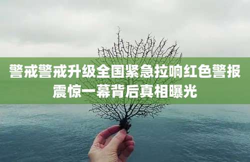 警戒警戒升级全国紧急拉响红色警报震惊一幕背后真相曝光