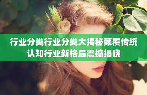 行业分类行业分类大揭秘颠覆传统认知行业新格局震撼揭晓