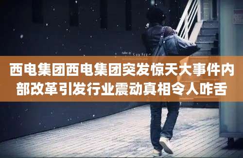 西电集团西电集团突发惊天大事件内部改革引发行业震动真相令人咋舌