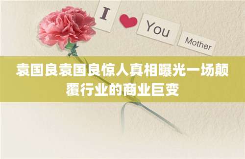 袁国良袁国良惊人真相曝光一场颠覆行业的商业巨变