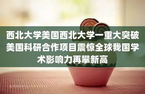西北大学美国西北大学一重大突破美国科研合作项目震惊全球我国学术影响力再攀新高