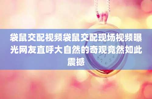 袋鼠交配视频袋鼠交配现场视频曝光网友直呼大自然的奇观竟然如此震撼
