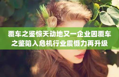 覆车之鉴惊天动地又一企业因覆车之鉴陷入危机行业震慑力再升级