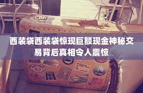 西装袋西装袋惊现巨额现金神秘交易背后真相令人震惊