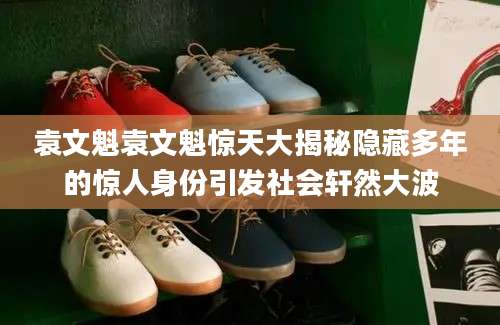 袁文魁袁文魁惊天大揭秘隐藏多年的惊人身份引发社会轩然大波