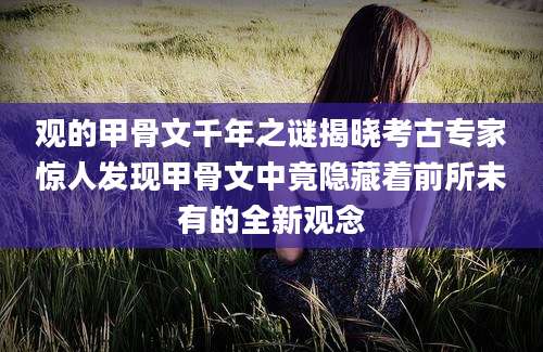 观的甲骨文千年之谜揭晓考古专家惊人发现甲骨文中竟隐藏着前所未有的全新观念