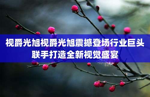 视爵光旭视爵光旭震撼登场行业巨头联手打造全新视觉盛宴