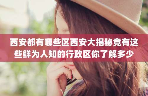 西安都有哪些区西安大揭秘竟有这些鲜为人知的行政区你了解多少