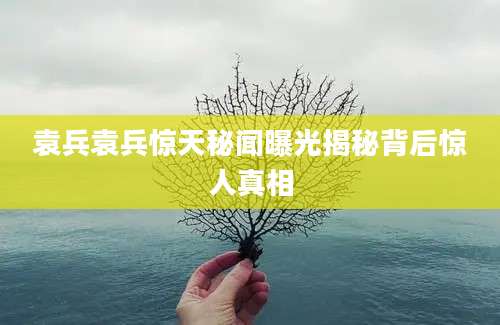 袁兵袁兵惊天秘闻曝光揭秘背后惊人真相