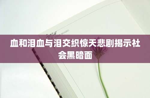 血和泪血与泪交织惊天悲剧揭示社会黑暗面