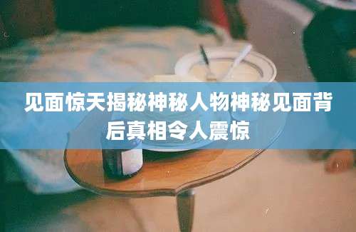 见面惊天揭秘神秘人物神秘见面背后真相令人震惊