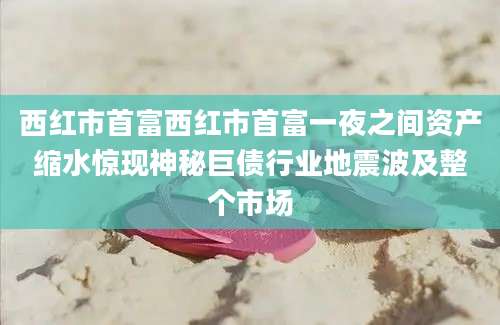 西红市首富西红市首富一夜之间资产缩水惊现神秘巨债行业地震波及整个市场