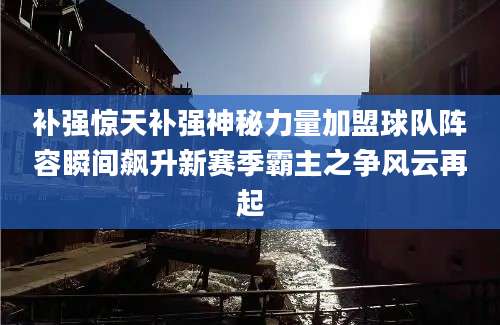 补强惊天补强神秘力量加盟球队阵容瞬间飙升新赛季霸主之争风云再起