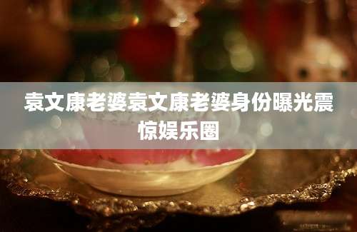 袁文康老婆袁文康老婆身份曝光震惊娱乐圈