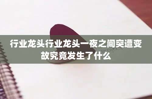 行业龙头行业龙头一夜之间突遭变故究竟发生了什么