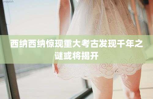 西纳西纳惊现重大考古发现千年之谜或将揭开