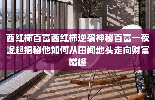 西红柿首富西红柿逆袭神秘首富一夜崛起揭秘他如何从田间地头走向财富巅峰
