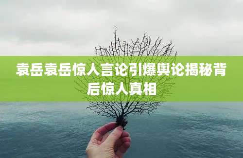 袁岳袁岳惊人言论引爆舆论揭秘背后惊人真相