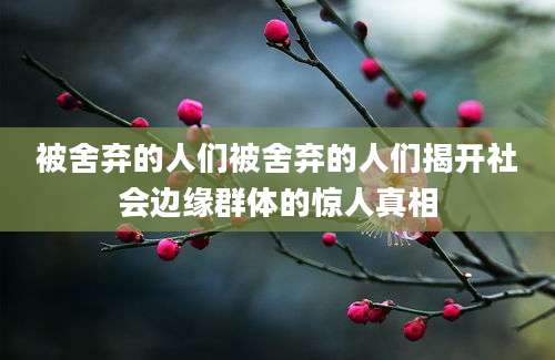 被舍弃的人们被舍弃的人们揭开社会边缘群体的惊人真相