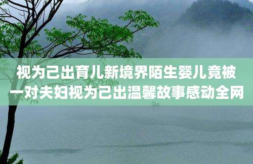 视为己出育儿新境界陌生婴儿竟被一对夫妇视为己出温馨故事感动全网