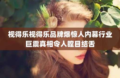 视得乐视得乐品牌爆惊人内幕行业巨震真相令人瞠目结舌