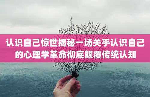 认识自己惊世揭秘一场关乎认识自己的心理学革命彻底颠覆传统认知