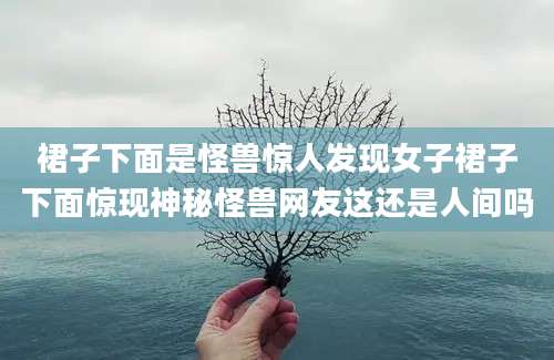 裙子下面是怪兽惊人发现女子裙子下面惊现神秘怪兽网友这还是人间吗