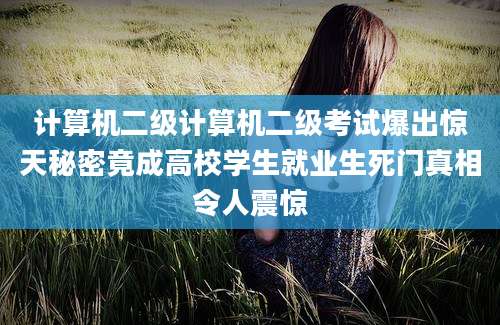 计算机二级计算机二级考试爆出惊天秘密竟成高校学生就业生死门真相令人震惊