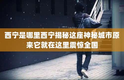 西宁是哪里西宁揭秘这座神秘城市原来它就在这里震惊全国