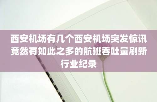 西安机场有几个西安机场突发惊讯竟然有如此之多的航班吞吐量刷新行业纪录