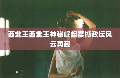 西北王西北王神秘崛起震撼政坛风云再起