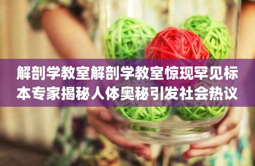 解剖学教室解剖学教室惊现罕见标本专家揭秘人体奥秘引发社会热议