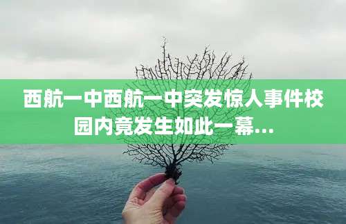 西航一中西航一中突发惊人事件校园内竟发生如此一幕...