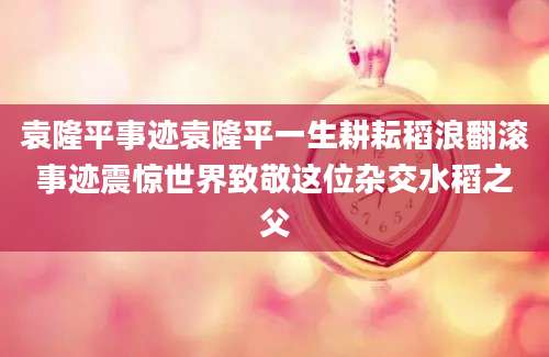 袁隆平事迹袁隆平一生耕耘稻浪翻滚事迹震惊世界致敬这位杂交水稻之父
