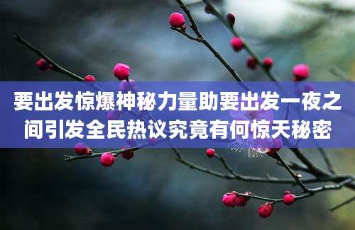 要出发惊爆神秘力量助要出发一夜之间引发全民热议究竟有何惊天秘密