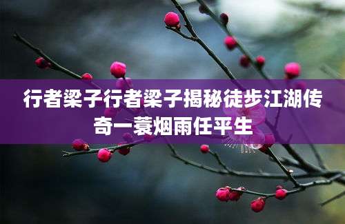 行者梁子行者梁子揭秘徒步江湖传奇一蓑烟雨任平生