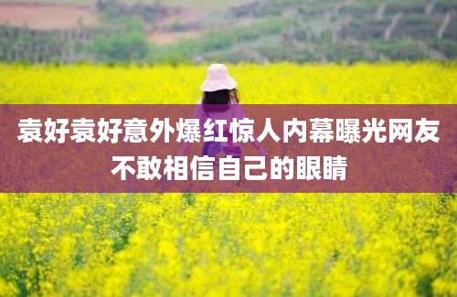 袁好袁好意外爆红惊人内幕曝光网友不敢相信自己的眼睛