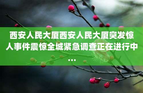 西安人民大厦西安人民大厦突发惊人事件震惊全城紧急调查正在进行中...