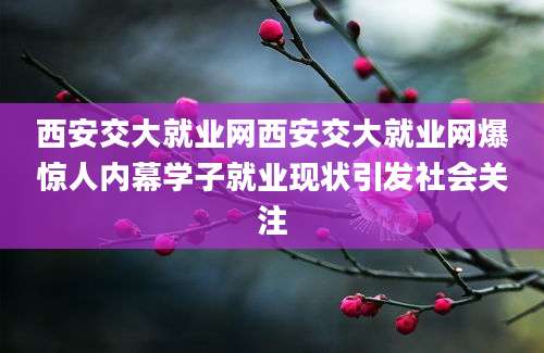 西安交大就业网西安交大就业网爆惊人内幕学子就业现状引发社会关注