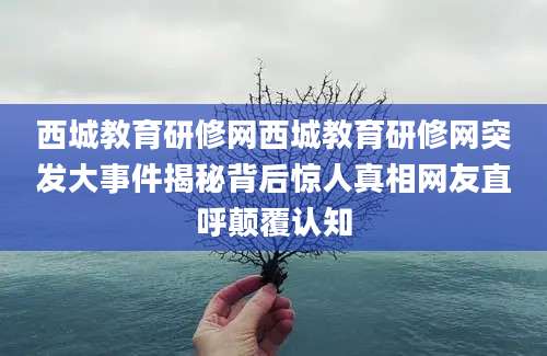 西城教育研修网西城教育研修网突发大事件揭秘背后惊人真相网友直呼颠覆认知