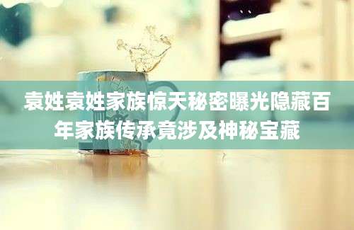 袁姓袁姓家族惊天秘密曝光隐藏百年家族传承竟涉及神秘宝藏