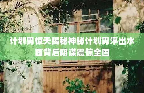 计划男惊天揭秘神秘计划男浮出水面背后阴谋震惊全国