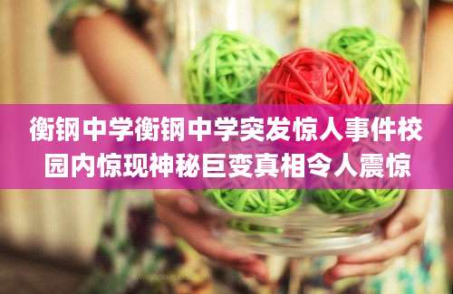 衡钢中学衡钢中学突发惊人事件校园内惊现神秘巨变真相令人震惊